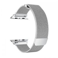 44MM Chain Strap Stainless Steel Magnetic Lock-SILVER